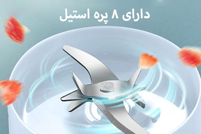 مخلوط کن و اسموتی ساز پرتابل ROYALDULEX